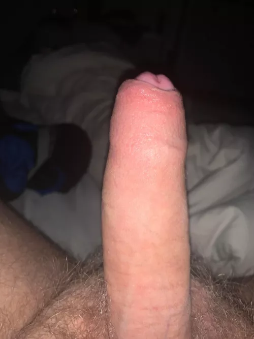 Young limitless teen looking to chat. Dms open.
