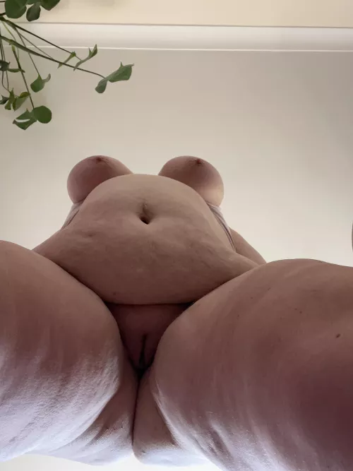 Your view before I sit on your face 😜