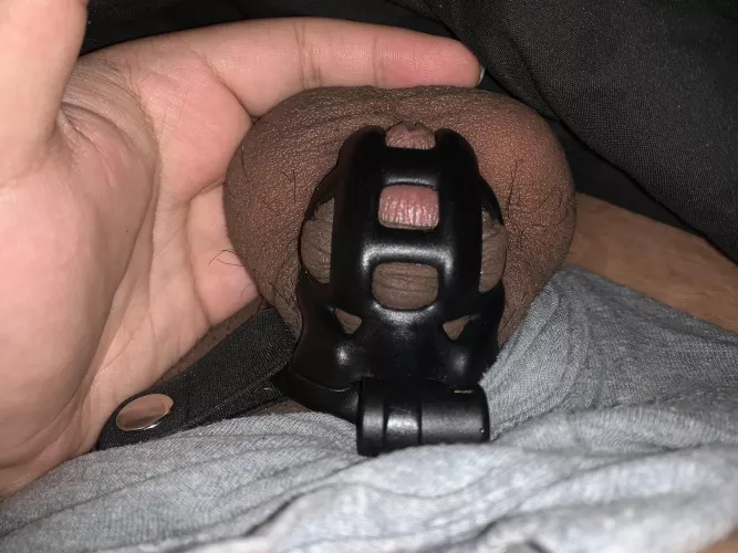 18 y/o day 18 of locktober - honestly I didn’t expect to make it this far and pass my previous record, especially since I haven’t had a single orgasm since I’ve been locked. It’s made me so horny too 18 y/o day 18 of locktober - honestly I didn’t expect to make it this far and pass my previous record, especially since I haven’t had a single orgasm since I’ve been locked. It’s made me so horny too