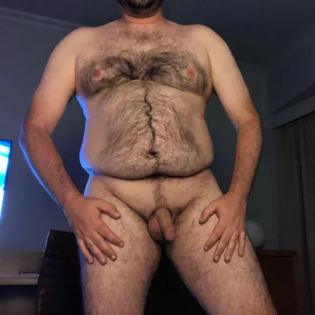 Am I a Cub or a Bear? You decide. Am I a Cub or a Bear? You decide.