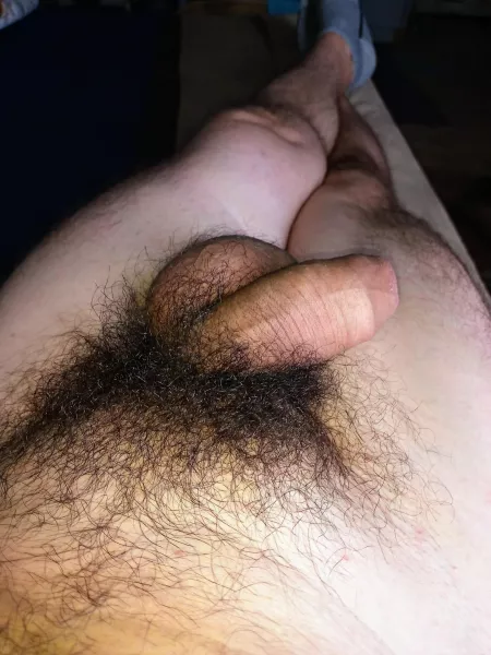 Bushy Bushy