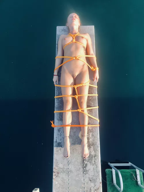 Diving Board Over Water Diving Board Over Water