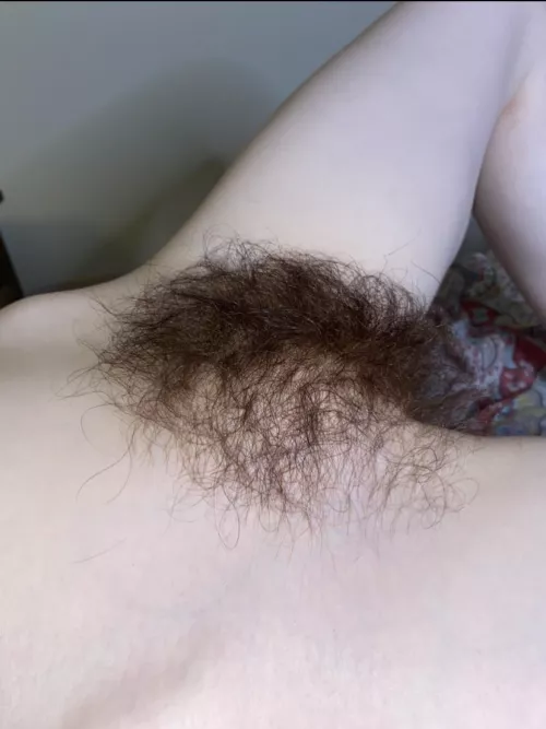 Do you like my little bush? Do you like my little bush?