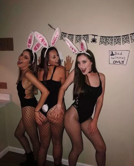 Drunk bunnies Drunk bunnies