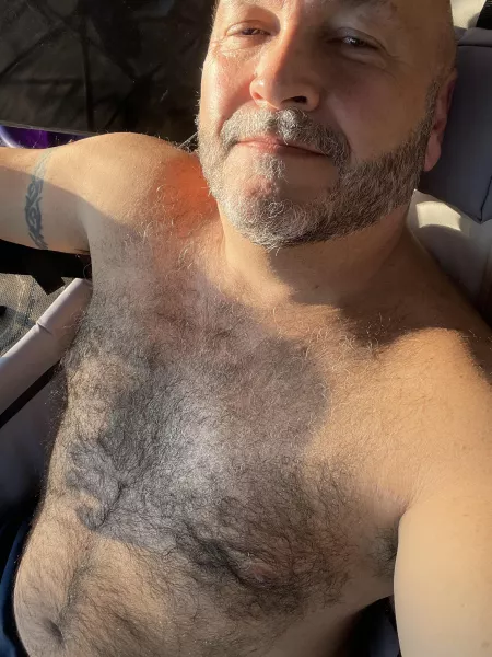 Evening sun on my fur! Evening sun on my fur!