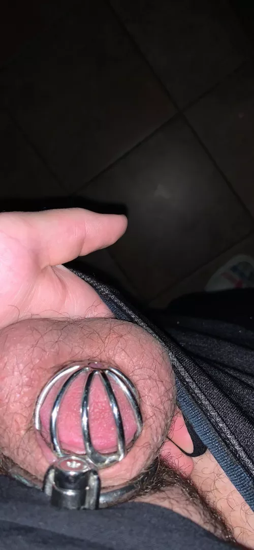 Had to unlock due to medical reasons but we’re back in time for NNN. So for 0 upvotes I’ll do 180 days locked. Had to unlock due to medical reasons but we’re back in time for NNN. So for 0 upvotes I’ll do 180 days locked.