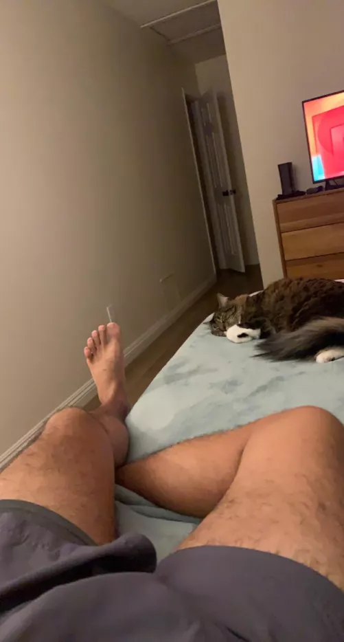 He gets most of the bed He gets most of the bed