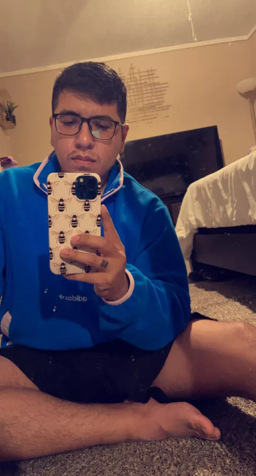 Hi Hi