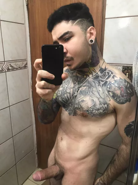 Hi Hi
