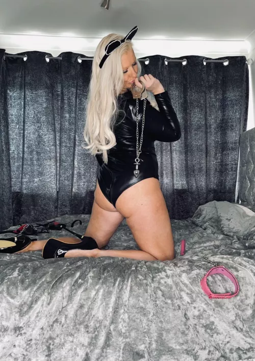 I bet I can get your ass purring like a kitten, best hope my claws donโt come out I bet I can get your ass purring like a kitten, best hope my claws donโt come out