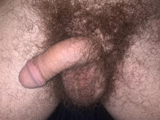 Like hairy balls? Like hairy balls?