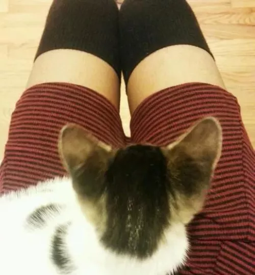Me and my lil best friend, chilling in my room. I love her! Me and my lil best friend, chilling in my room. I love her!