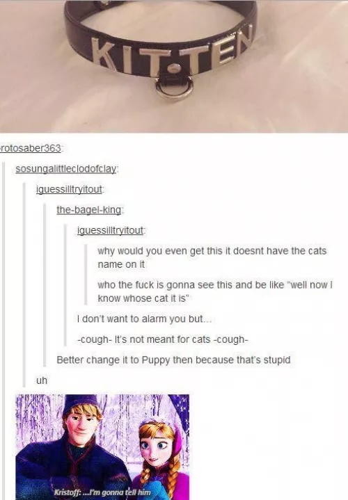 Oh Kitten π€¦πΌββοΈ Oh Kitten π€¦πΌββοΈ