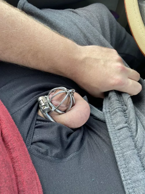 Out running errands. Funny that locktober feels like any other month. Out running errands. Funny that locktober feels like any other month.