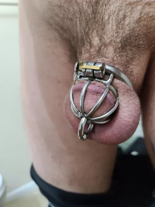 Put in my small cage. Humiliating that I fit. Don't you agree? Put in my small cage. Humiliating that I fit. Don't you agree?