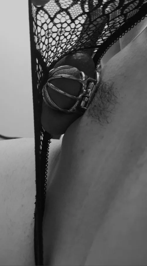 Should I leave him in chastity ? Should I leave him in chastity ?