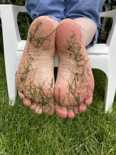 Started cutting the grass...long and wet!! Started cutting the grass...long and wet!!