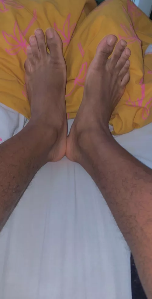 who wants them? who wants them?