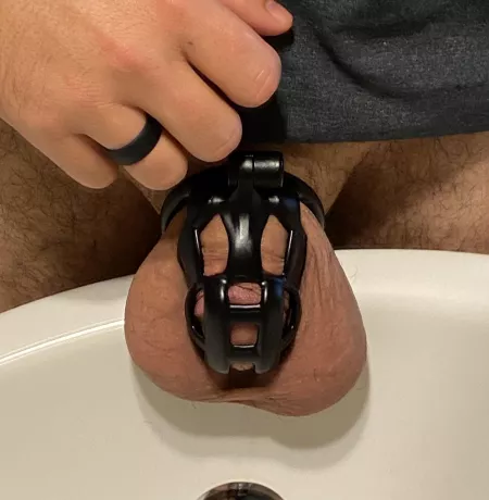 Wifey likes that my cage matches my wedding ring Wifey likes that my cage matches my wedding ring