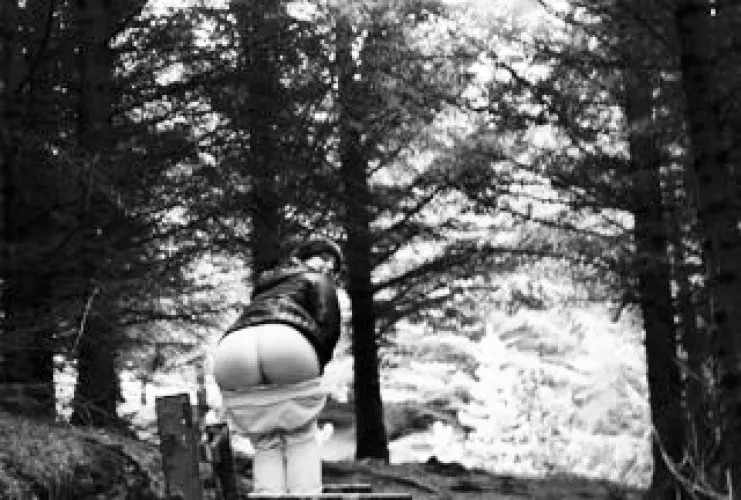 wild forest butt wild forest butt