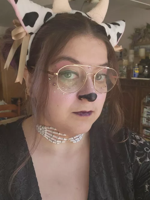 Worked all week but I was a cow for Samhain! Worked all week but I was a cow for Samhain!
