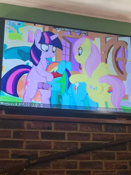 Enjoying clop on the big screen! Enjoying clop on the big screen!
