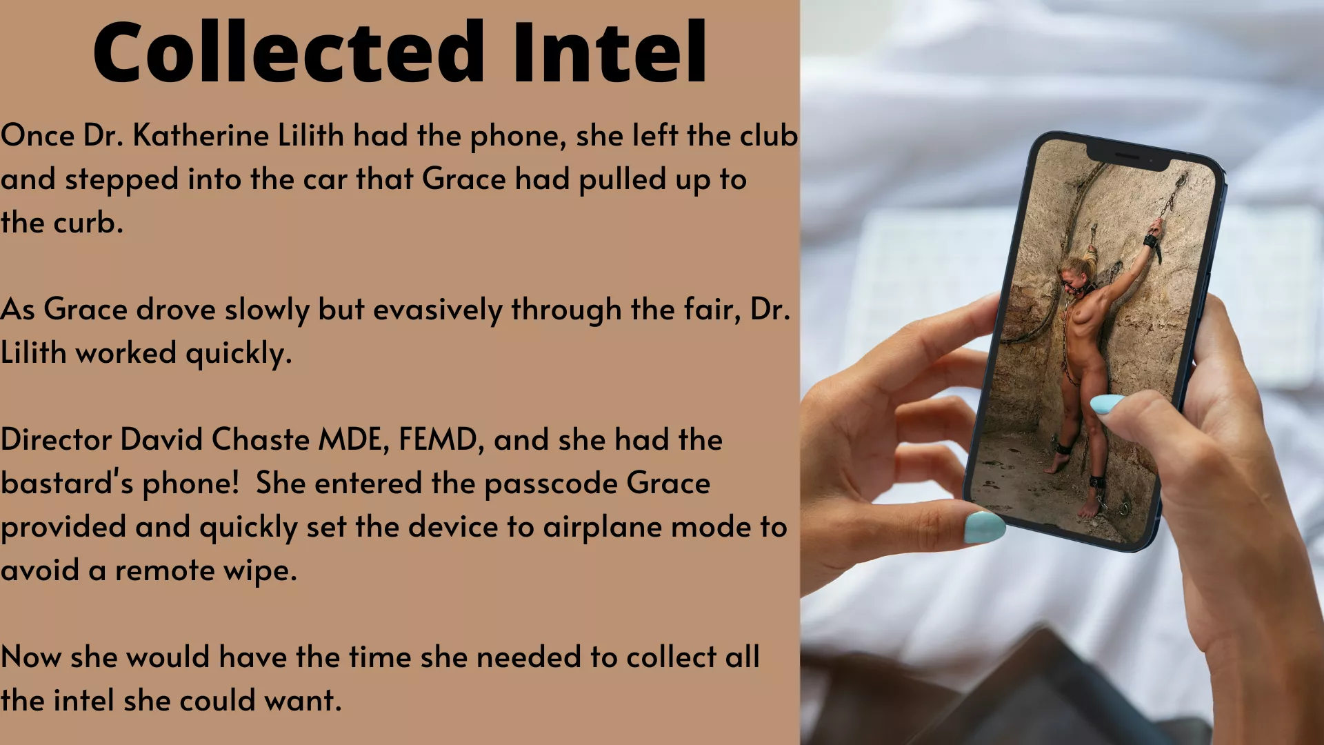 Looting FEMD Data in the Maledom Empire! (closed)