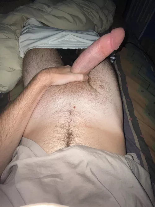 What should I do tonight? What should I do tonight?