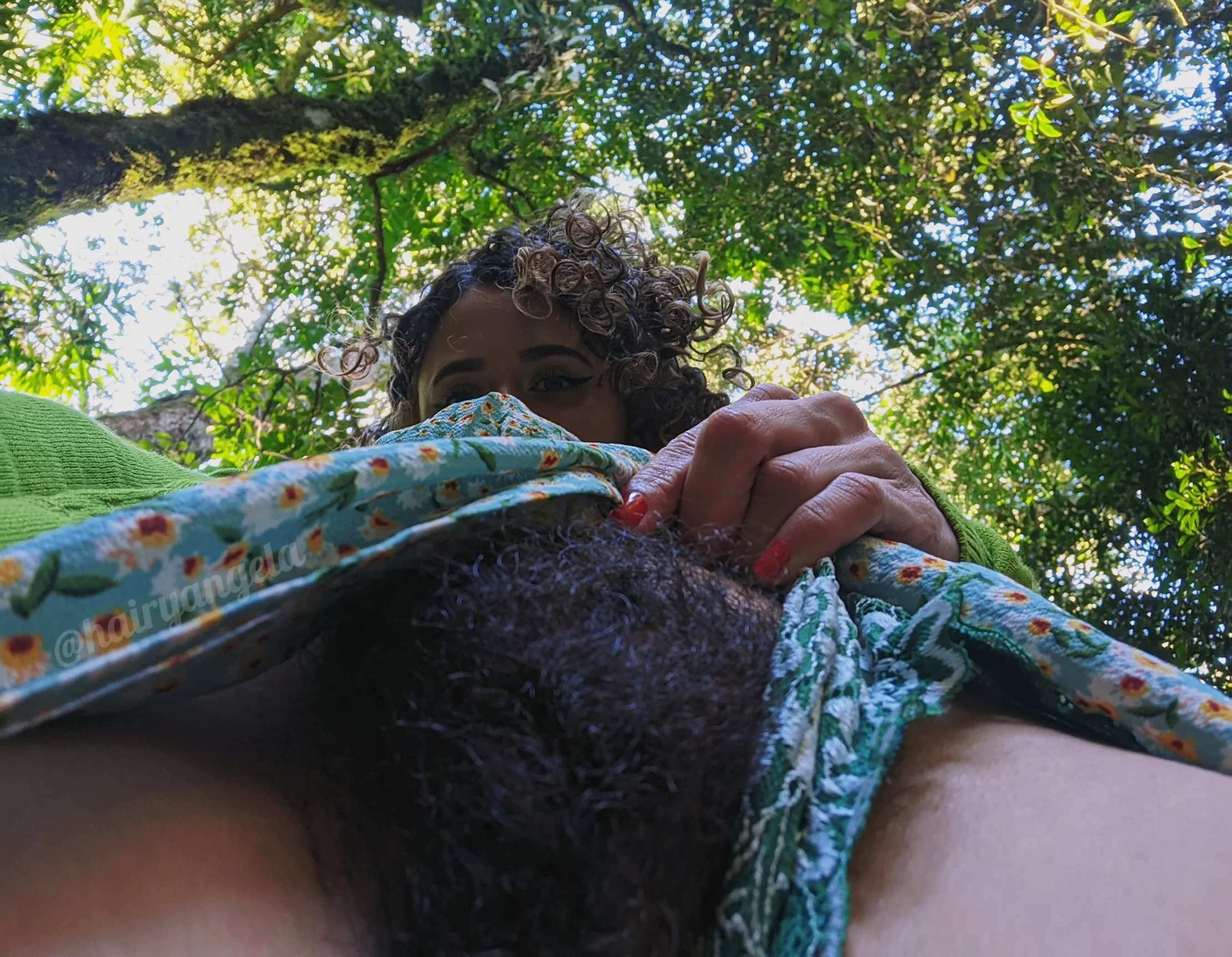 When the bush meets the trees 🌿