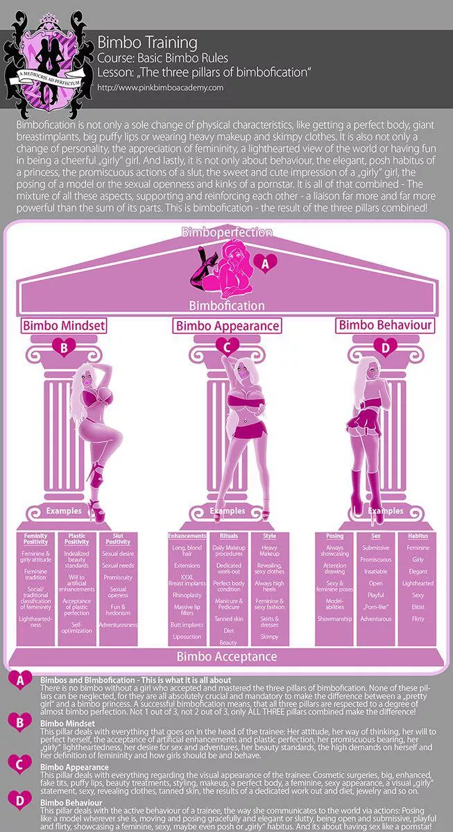 Has anyone looked at the PinkBimboAcademy? Can you recommend any Bimbo training?