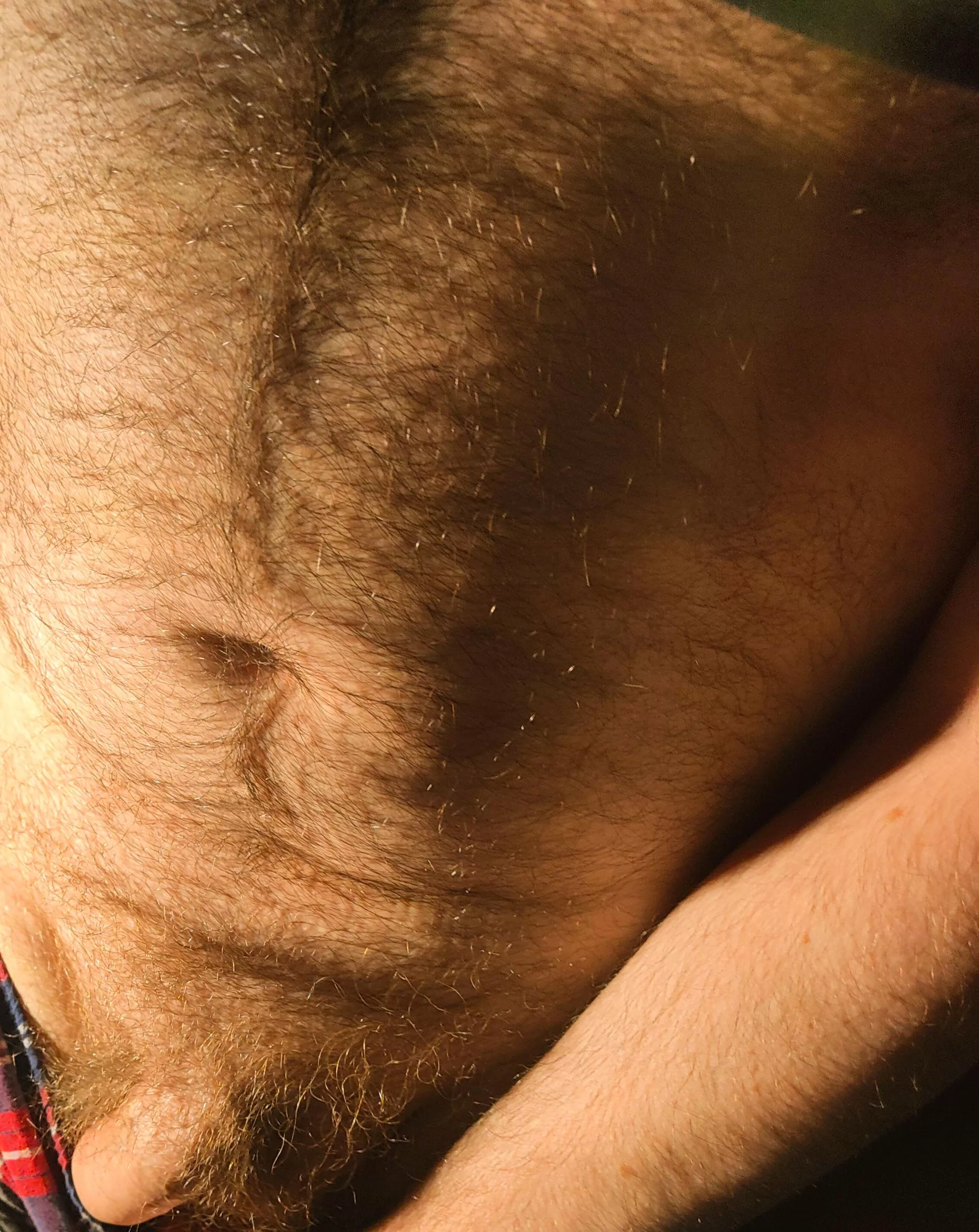 Another brutally hot day. I need a beer and a.....