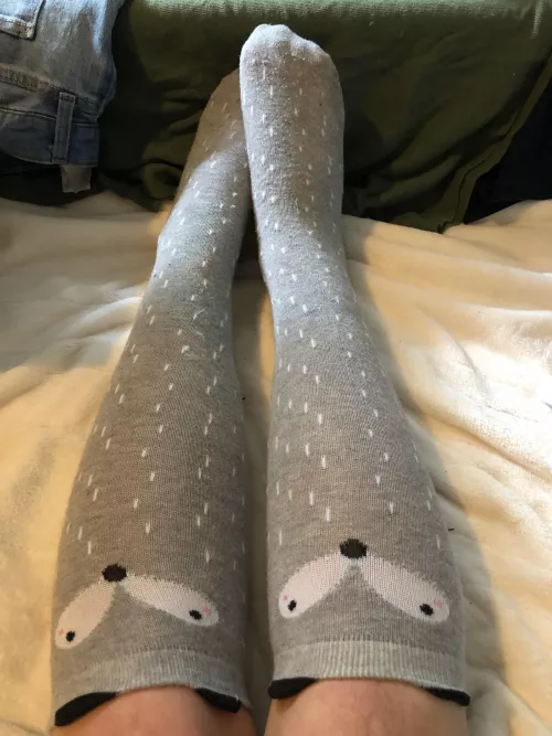 🦊 you make me feel foxy 🦊