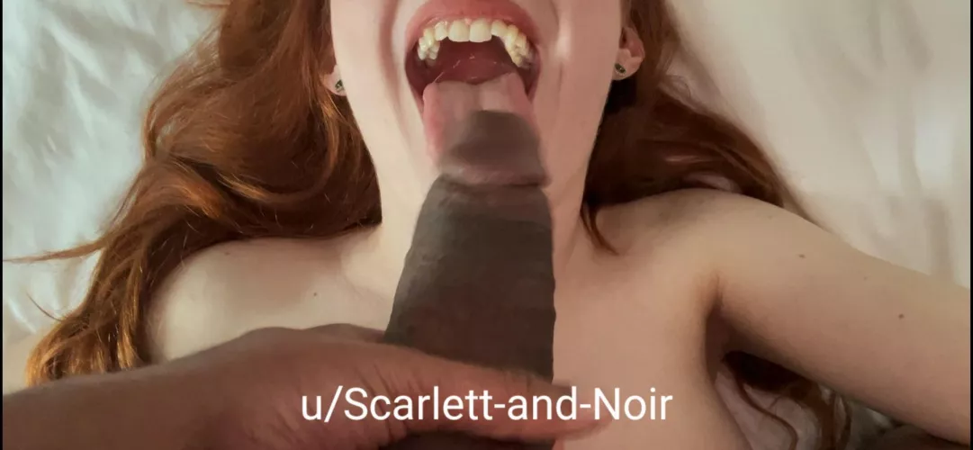 Have you ever seen someone this happy to suck a BBC? ♠️❄️🐰❄️♠️[OC]