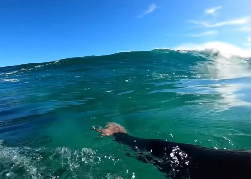 I can feel u really morning 🌊