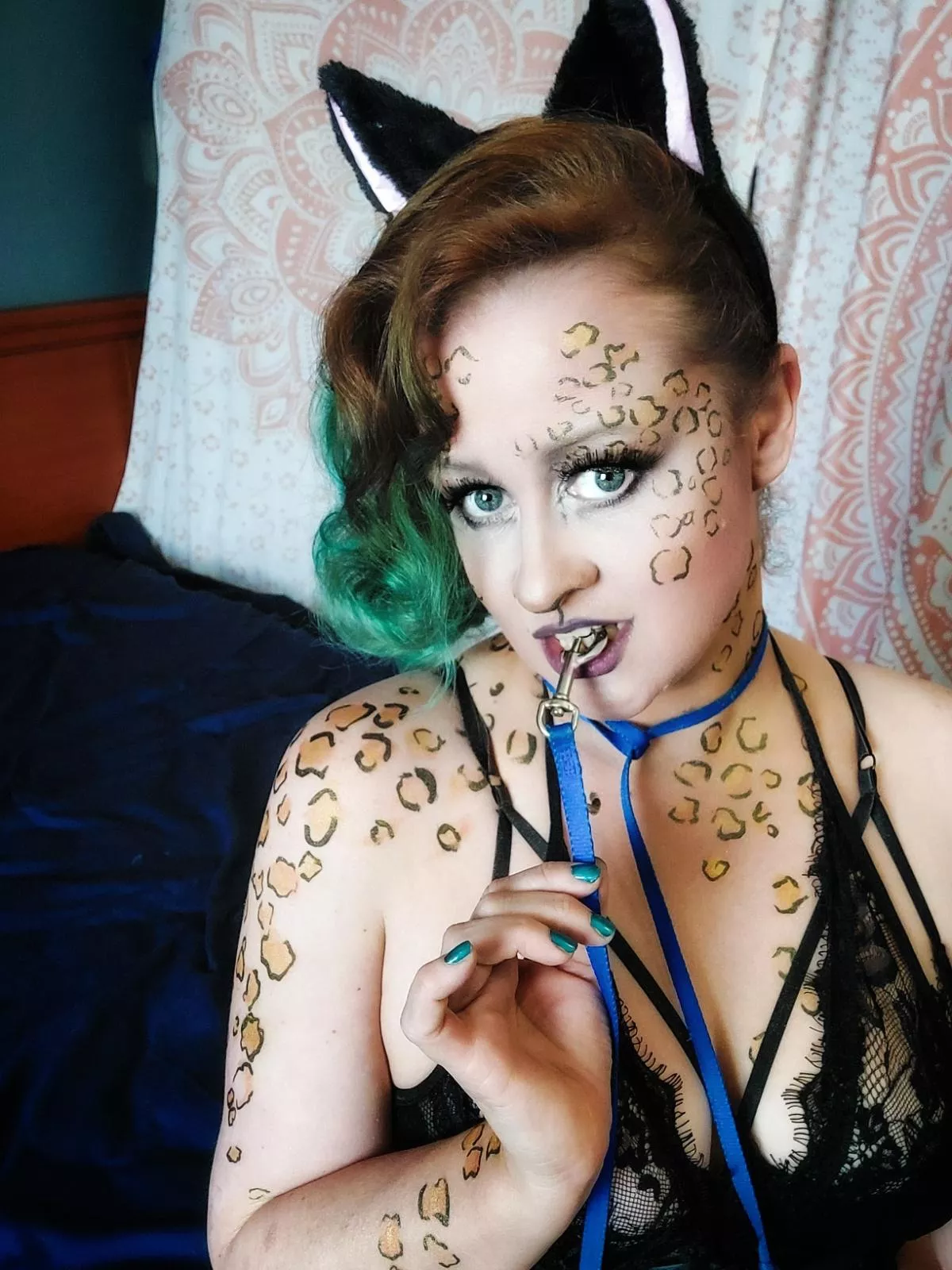 I just want to be a cat...would you pet me?😽