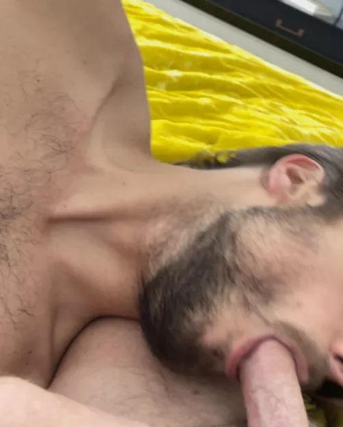 I love having my daddies cock in my mouth! Life is great!