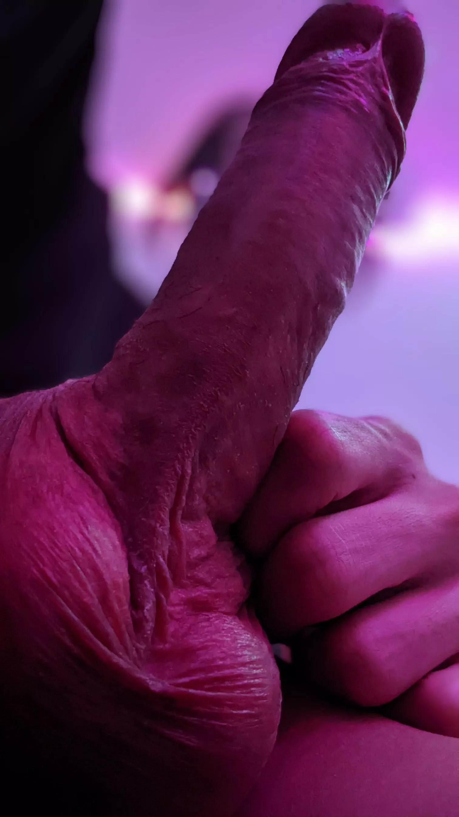 come worship my balls 🤤