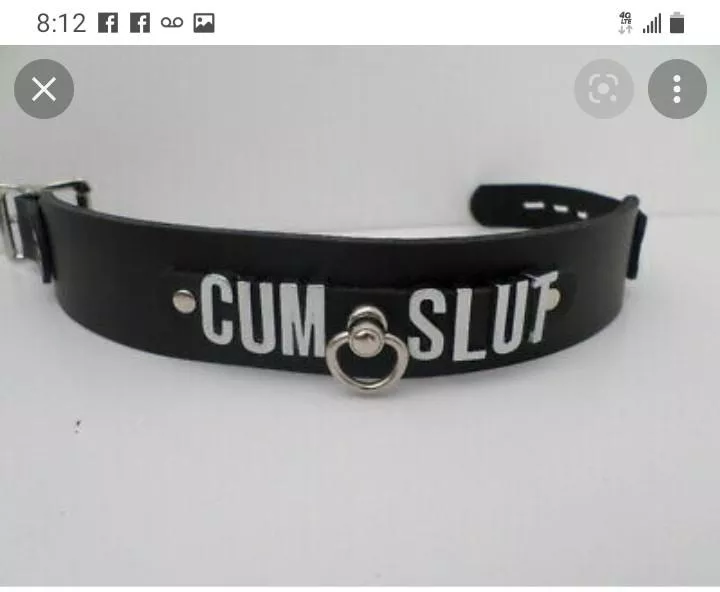 Hello I'm a lonely collar and I need a good home. If you want to adopt me please notify my owner