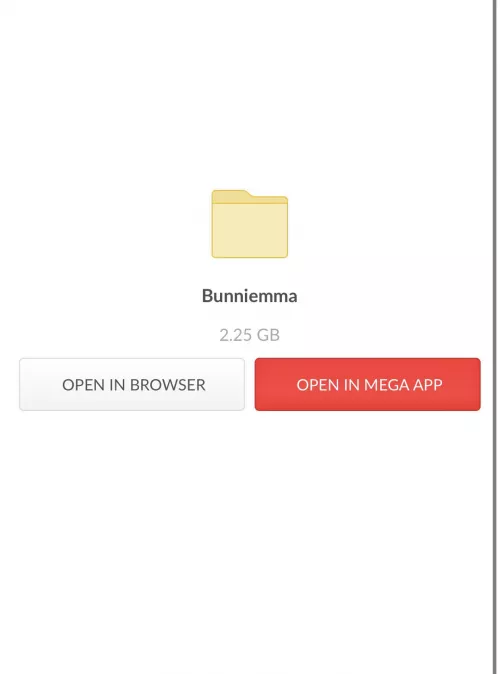 Mega links all kinds of vids lmk $5😝