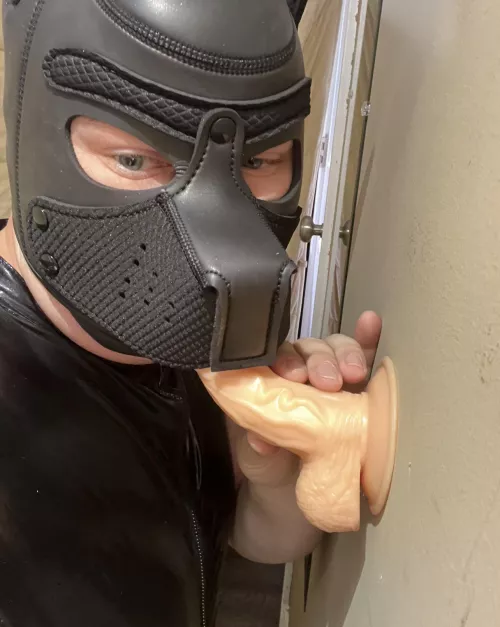 Pups new chew toy (but I don’t bite just swallow)