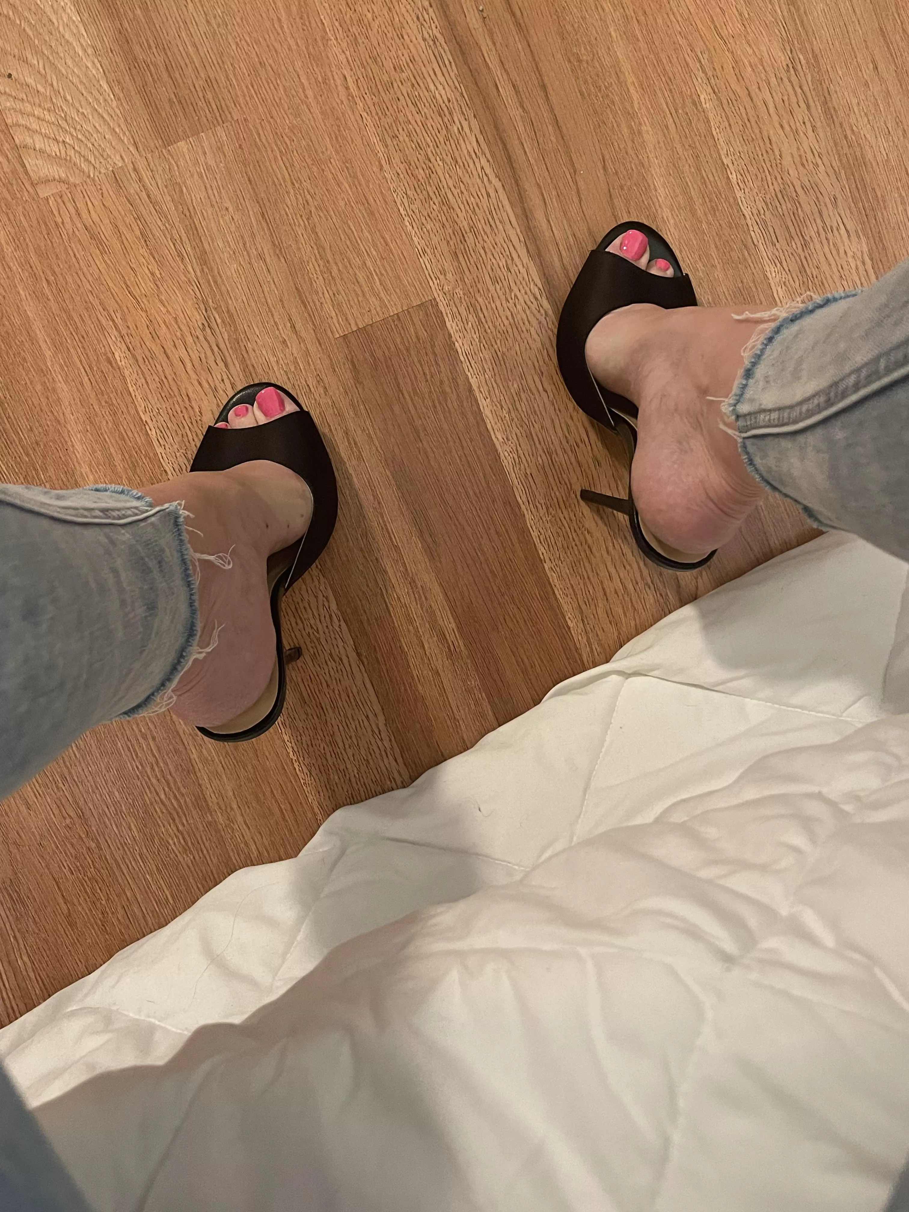 These mules are 🔥