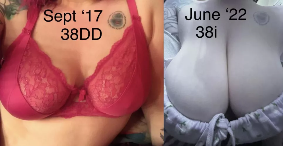 …and still growing! Naturally, with the help of a long time member of this subreddit ❤️ How big should I go? I was thinking 2 more cup sizes.