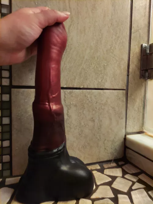 As a demisexual who has very little partnered sex, someone recently questioned how I could claim I was a bit of a size queen with my lack of experience. Do I tell them? 🤔 (L Flared Chance just arrived and has been well loved, haha)