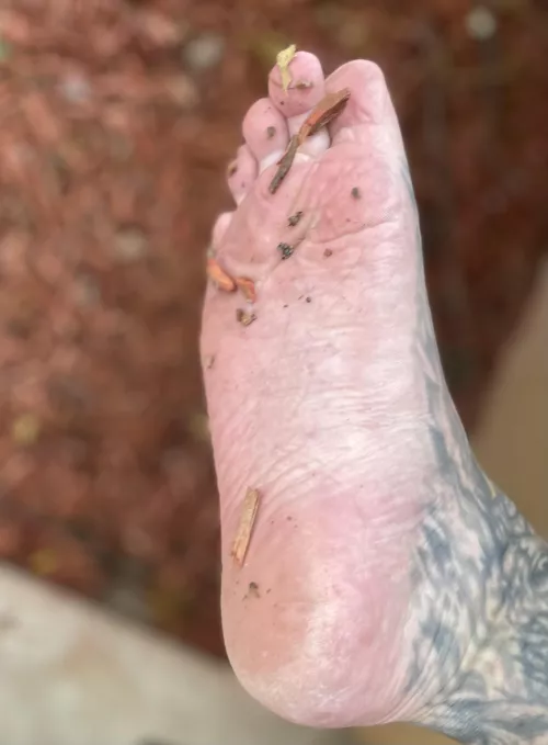 Can someone come clean these off?