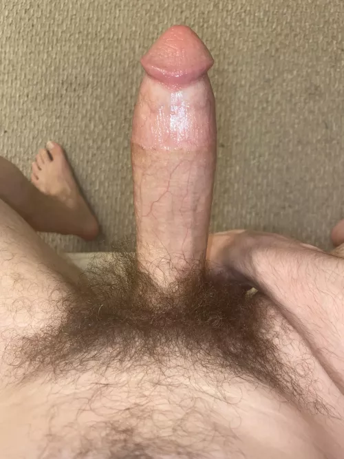 My very hairy manhood
