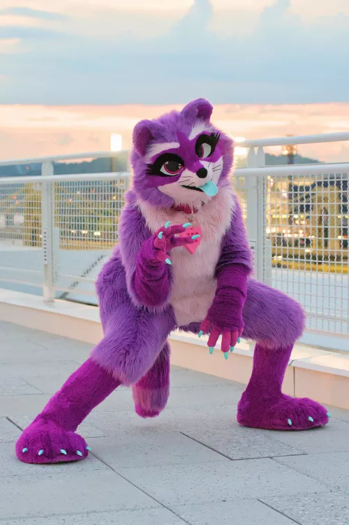 why didn't ya'll tell me pittsburgh was so beautiful?