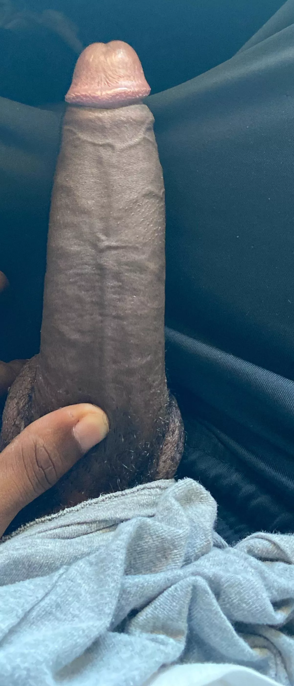 Black cock