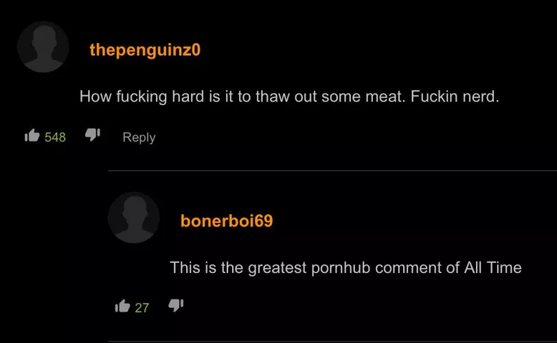 This is the greatest r/PornhubComments comment of All Time