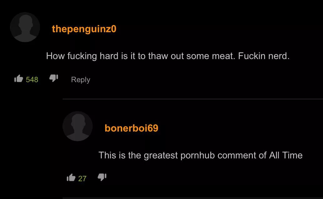 This is the greatest r/PornhubComments comment of All Time