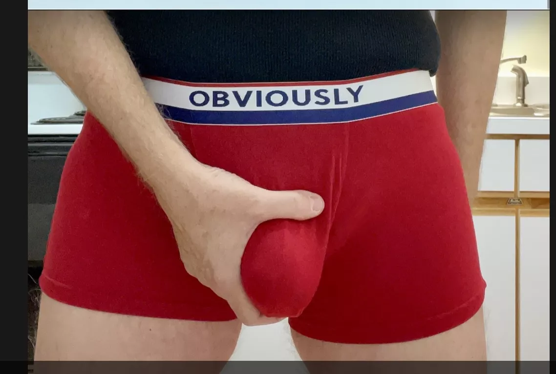 A Bit Late for the 4th, But They're Red, White, and Blue